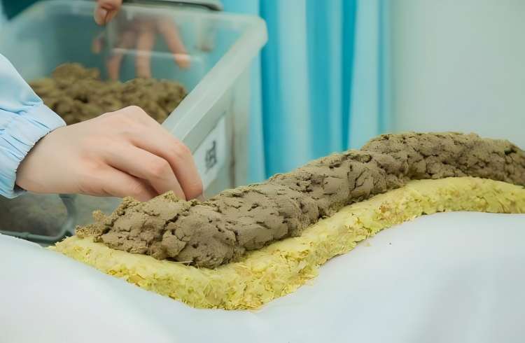 督脉灸新.jpg 督脉灸新.jpg